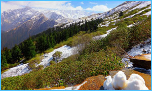 Chopta-Tungnath-Trek