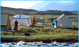 Himalayan-Camping
