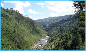 Kausani-Tour-Package