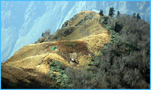 Nanda-Devi-Trekking