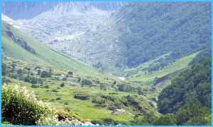 Valley-of-Flowers-trek
